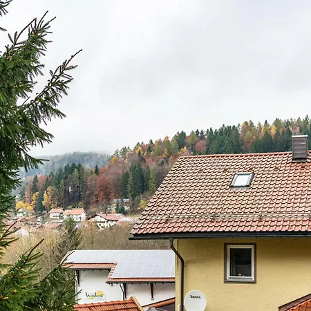 Am Silberberg Apartamento Bodenmais